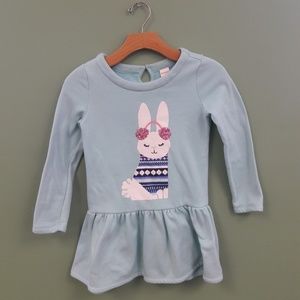 Snow Bunny Tunic